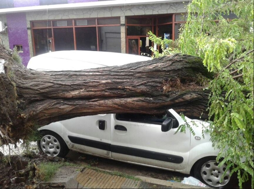 Daños en la localidad de Lobería debido al paso del tornado (redes sociales).